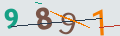 verifycode